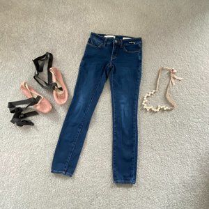 Pilcro and the Letterpress Mid-rise Skinny Jeans Size 25